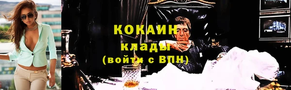 крисы Аркадак