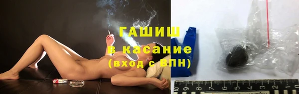 крисы Аркадак