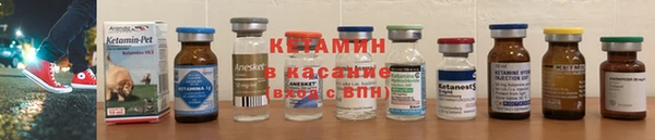 крисы Аркадак