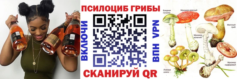 Псилоцибиновые грибы прущие грибы  ОМГ ОМГ ONION  Бабушкин  наркошоп 